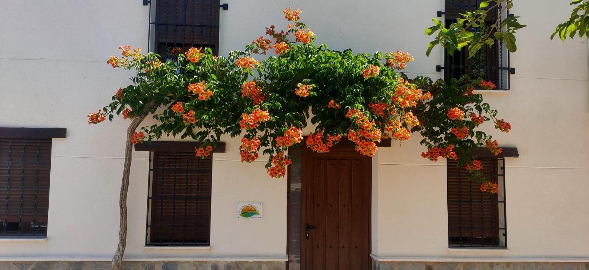 El Molino De Alatoz Villa Bagian luar foto